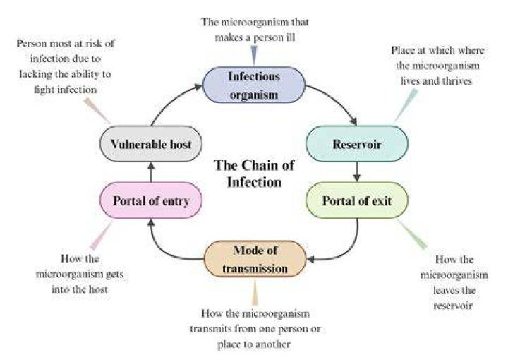What is the chain of infection in order?