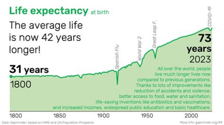 What is the life expectancy of an ant?
