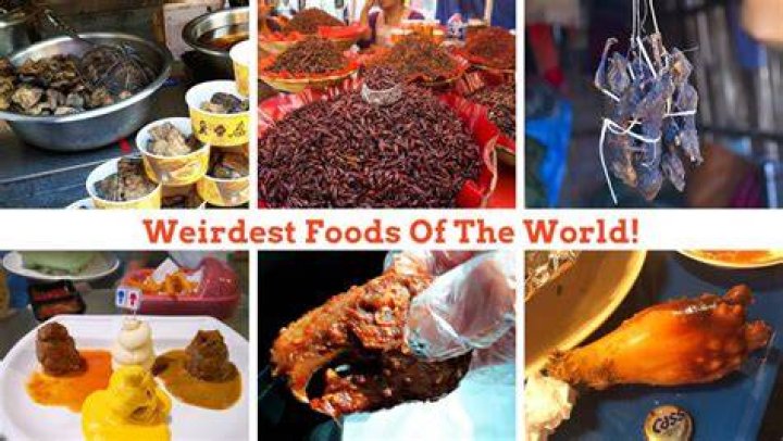 What is the weirdest food in the world?