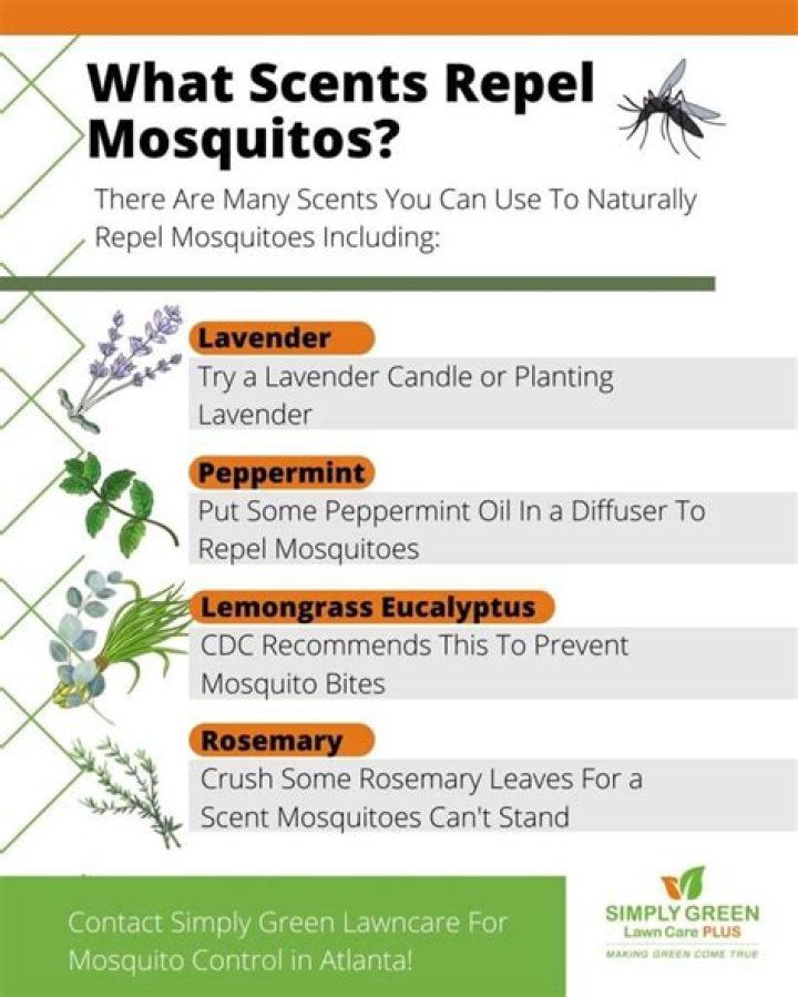 What lotion keeps mosquitoes away?