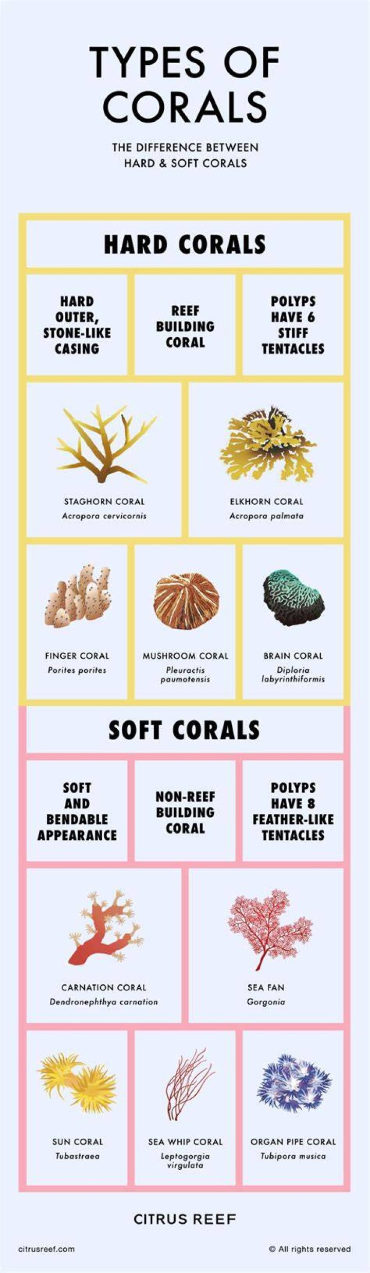 What names mean coral?