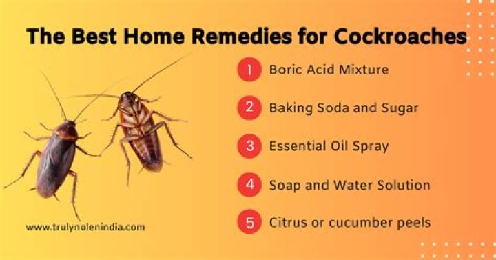 What temp kills cockroaches?