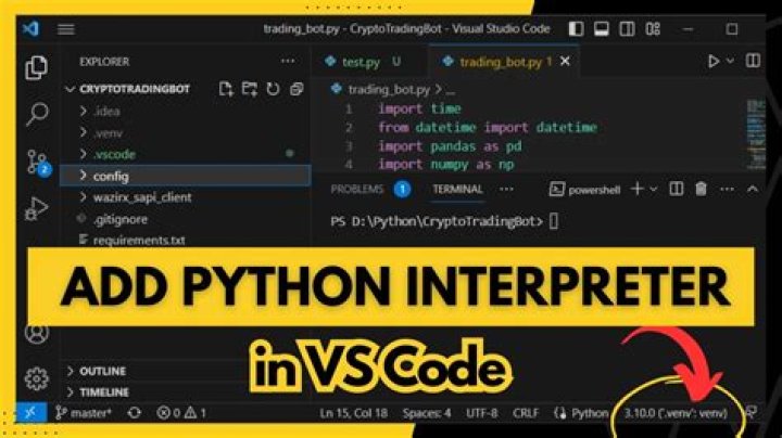 What tool does a programmer use to produce Python source code?