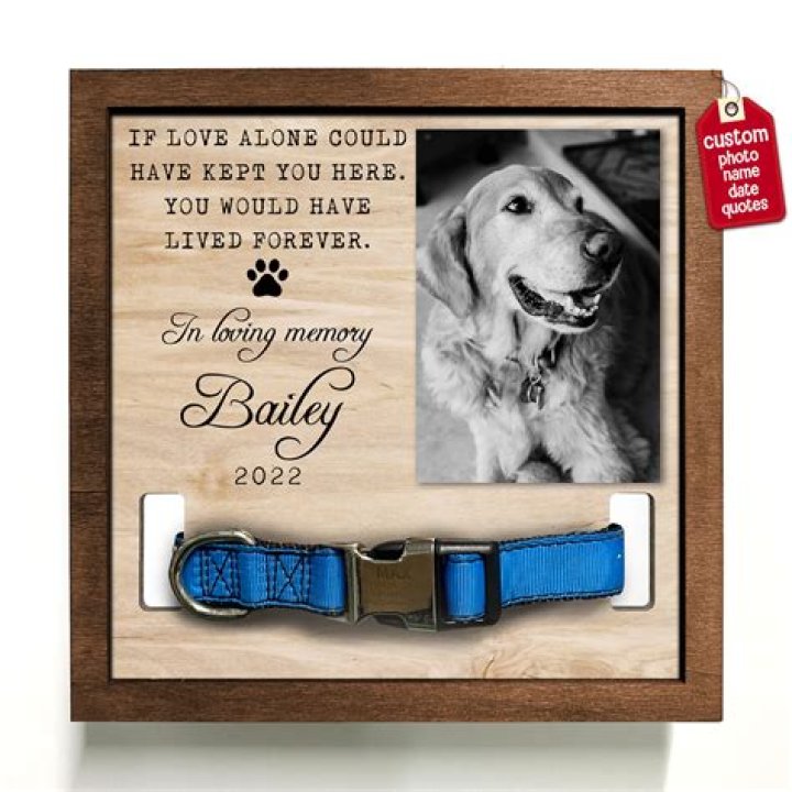 When a dog dies do their eyes stay open?