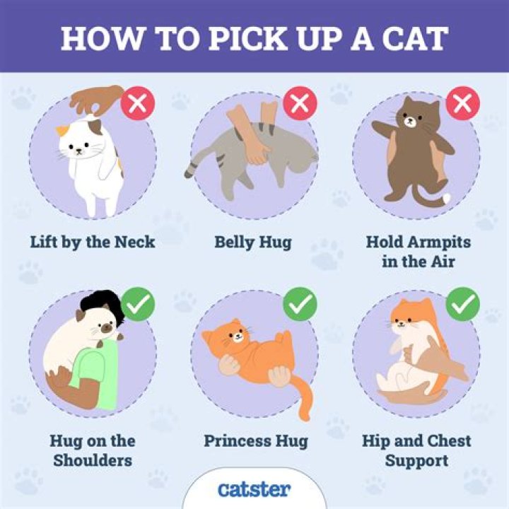 When can you pick baby up under arms?