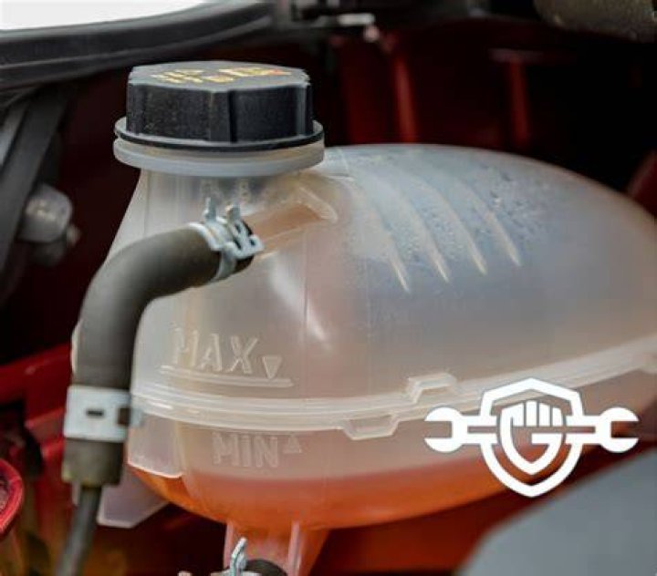 Where should the coolant level be when checking a cold engine?