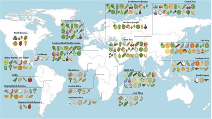 Which country grows the most food?