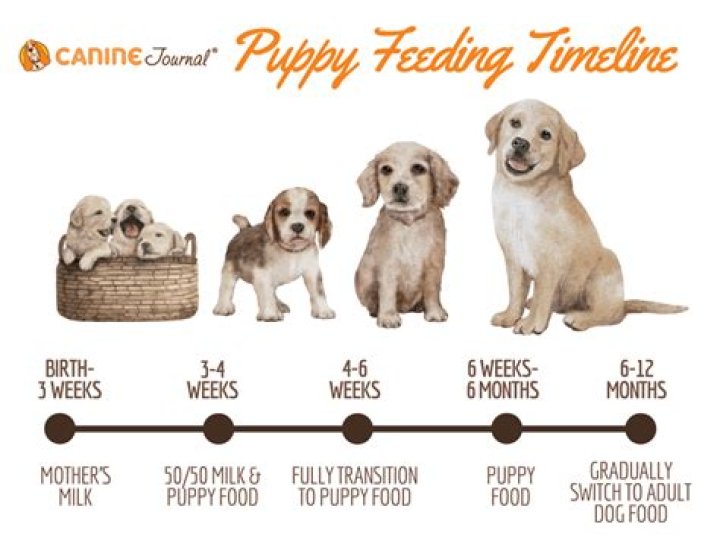 Which feed to drop first when weaning?
