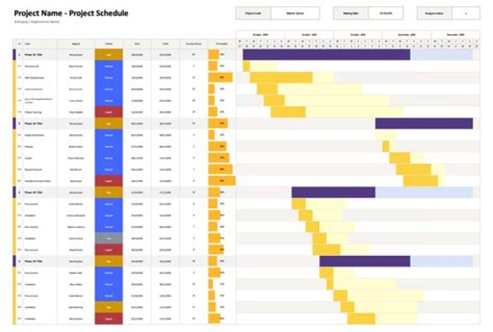 Who is responsible for project schedule?