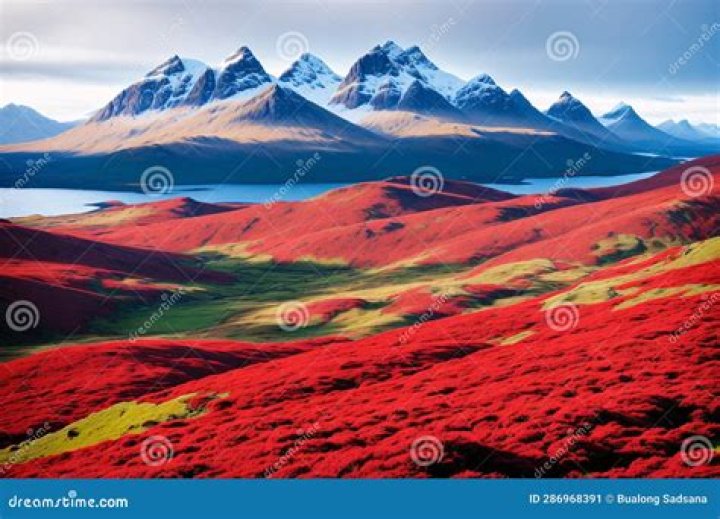 Who owns the Cuillin mountains?