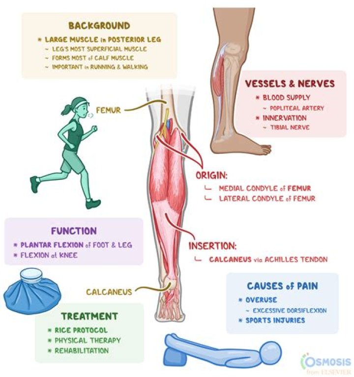 Why do my lower legs ache in bed?