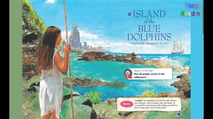 Why does Karana risk her life to leave the island in Chapter 10?