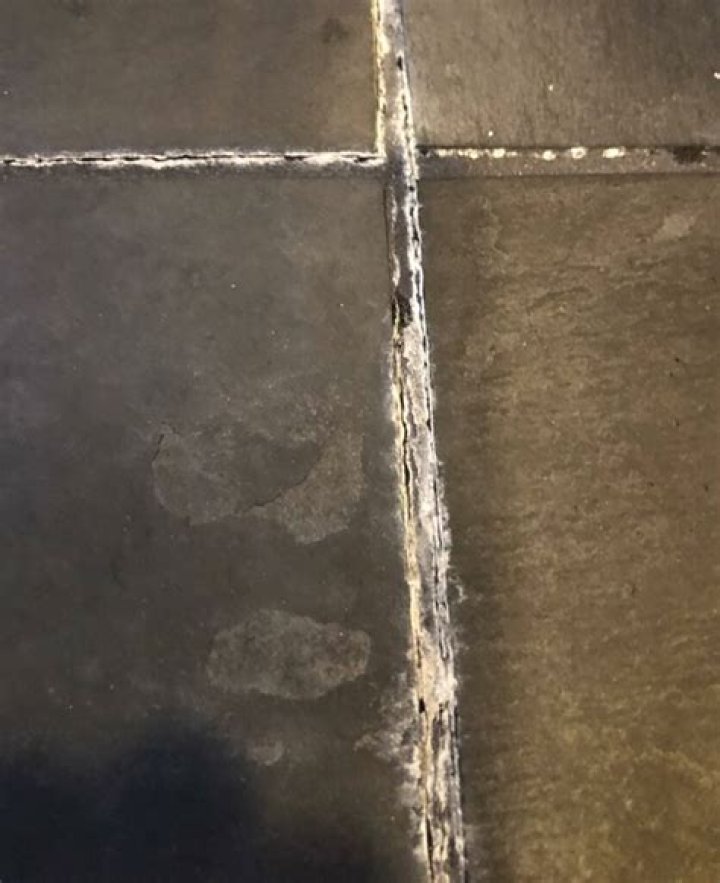 Why is my new gray grout turning white?