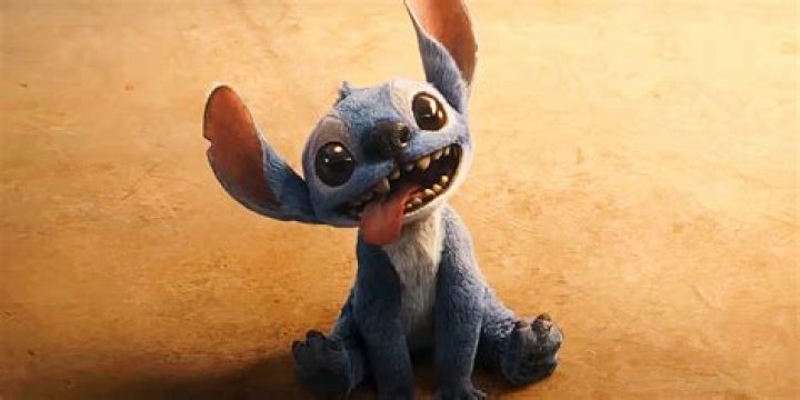 Why is Stitch popular?