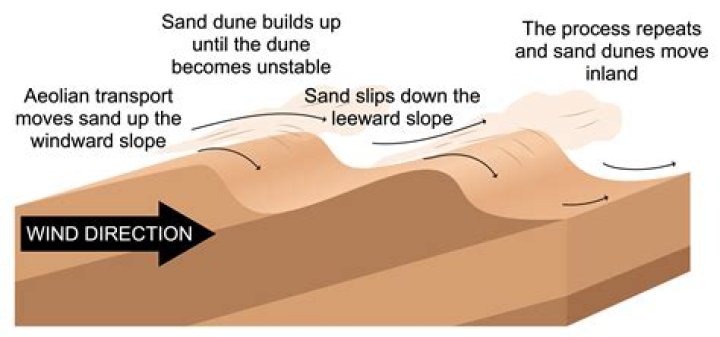 Why was Dune so boring?